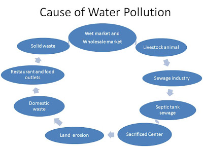 Essay on cause and effect of water pollution